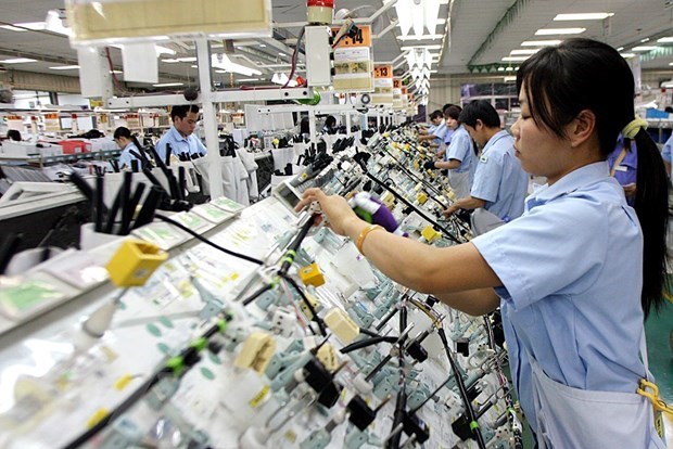  Phát triển nền nông nghiệp sản xuất hàng hóa lớn, ứng dụng công nghệ cao. (Ảnh minh họa: Huy Hùng/TTXVN)