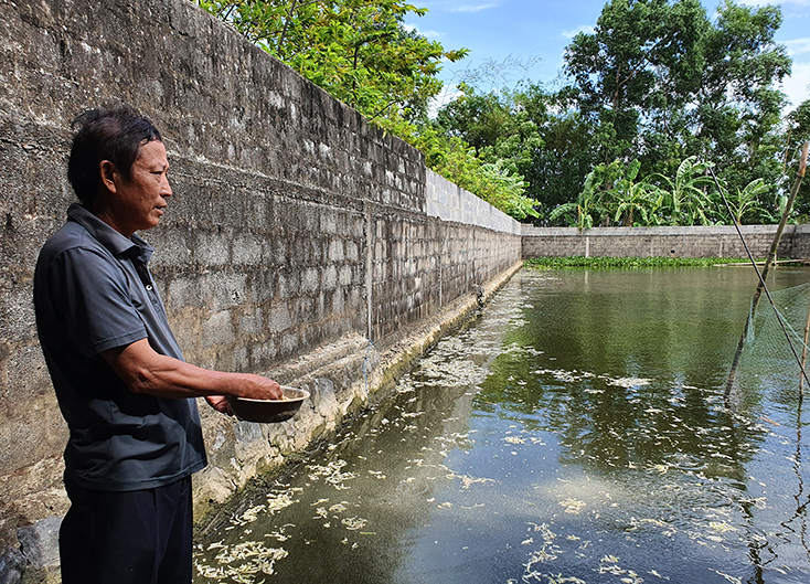  Ông Nguyễn Trường Hùng là một trong những điển hình về làm kinh tế ở thôn Lộc Long.