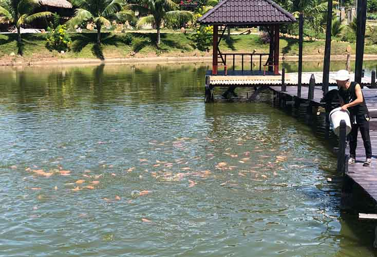 Anh Ngô Xuân Dũng, xã Cự Nẫm (Bố Trạch) vay vốn từ Agribank Chi nhánh Bắc Quảng Bình để xây dựng khu du lịch sinh thái. 