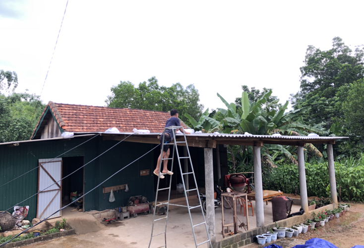 Người dân Minh Hóa chủ động chằng chống nhà cửa phòng chống bão số 5.