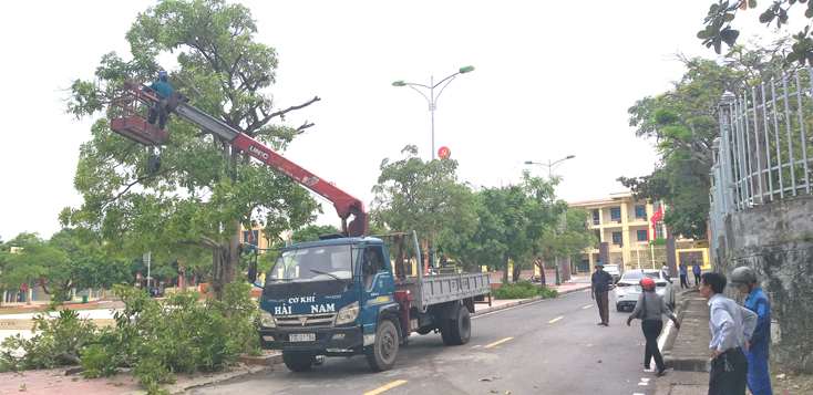 Các địa phương tiến hành chặt tỉa cây, phòng chống bão số 5.