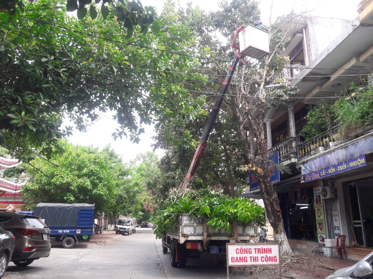 Trung tâm Công viên cây xanh đẩy nhanh tiến độ cắt tỉa cành cây đường phố