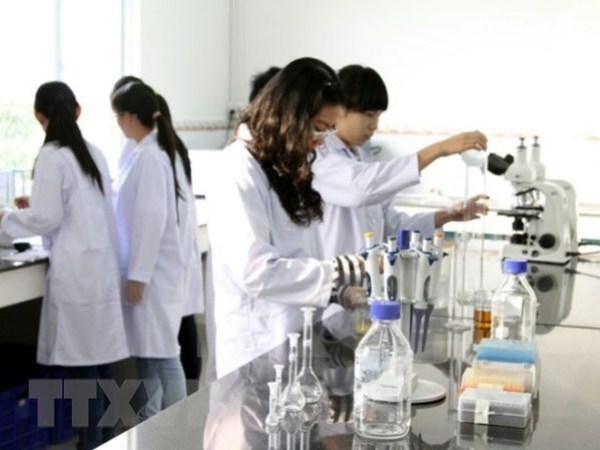 (Ảnh minh họa: TTXVN)