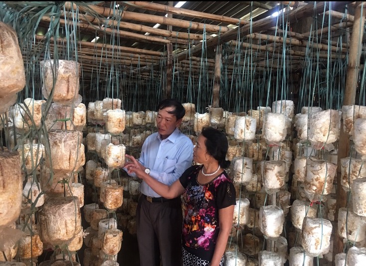 Ông Nguyễn An Bình thăm, kiểm tra tình hình sản xuất của một hộ dân trên địa bàn.