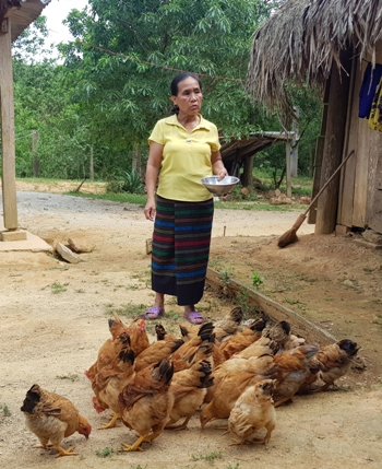    Bí thư Chi bộ, Trưởng bản Cáo Phạm Thị Lâm- 
