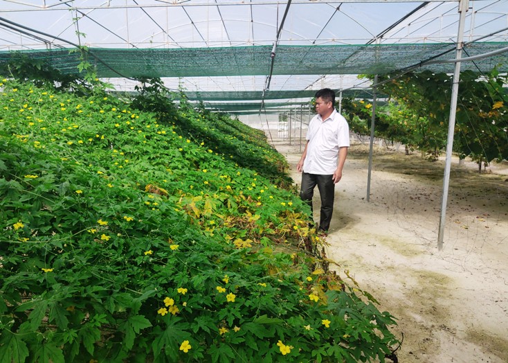   Trang trại tổng hợp của ông Đỗ Văn Tùng (xã Hải Ninh)-một trong những điển hình làm kinh tế giỏi của huyện Quảng Ninh