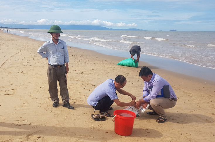Đoàn kiểm tra liên ngành do Chi cục Thủy sản chủ trì đã đi thực tế, ghi nhận tình hình ốc xoắn dạt vào bờ tại một số xã biển trên địa bàn tỉnh.