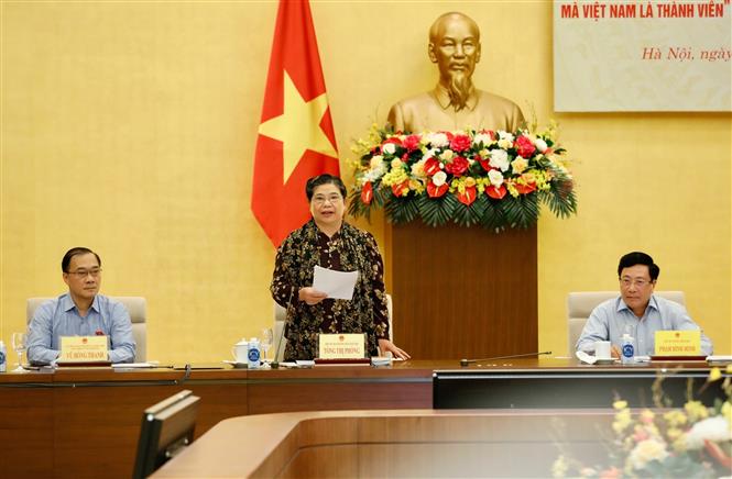 Phó Chủ tịch Thường trực Quốc hội Tòng Thị Phóng, trưởng đoàn phát biểu tại buổi làm việc. Ảnh: Dương Giang/TTXVN.