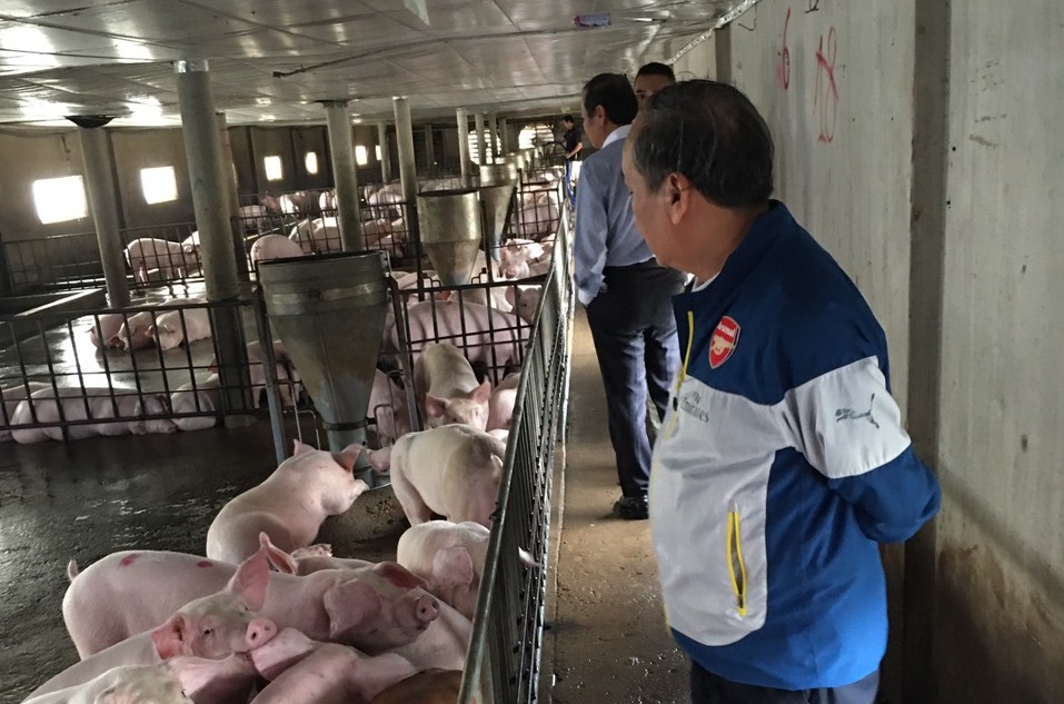 Sở Khoa học-Công nghệ kiểm tra tiến độ thực hiện dự án tại trang trại chăn nuôi của Công ty cổ phần Thanh Hương. 