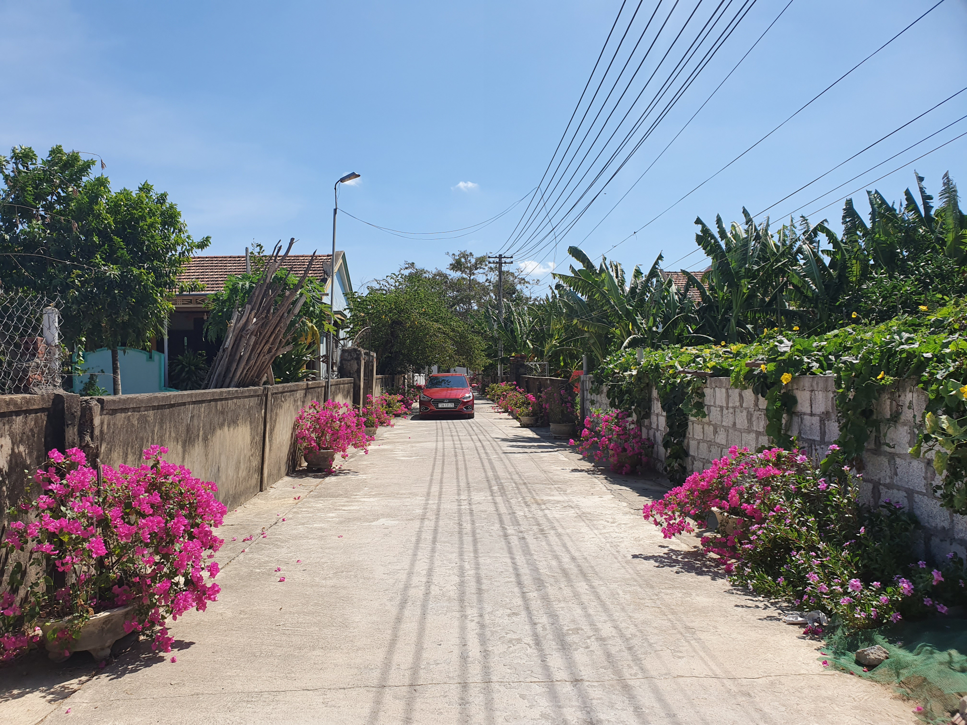      Một tuyến đường hoa ở xã Xuân Thủy.