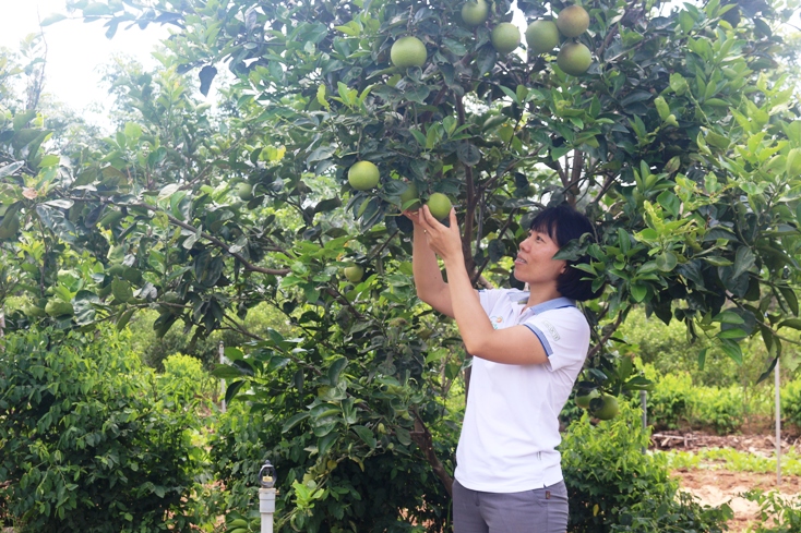 Với chị Lê Thị Thanh Thủy, mỗi sản phẩm của An Nông Farm đều bảm đảm tiêu chí  