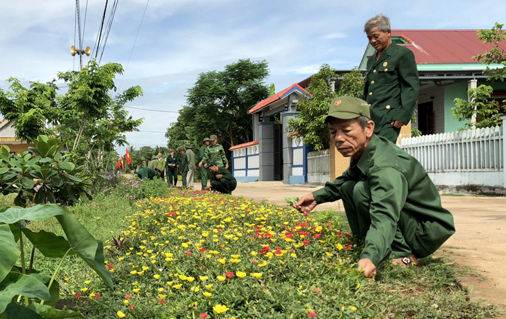 Các đoàn thể trên địa bàn huyện Bố Trạch tích cực xây dựng mô hình “Đường hoa, đường cây”