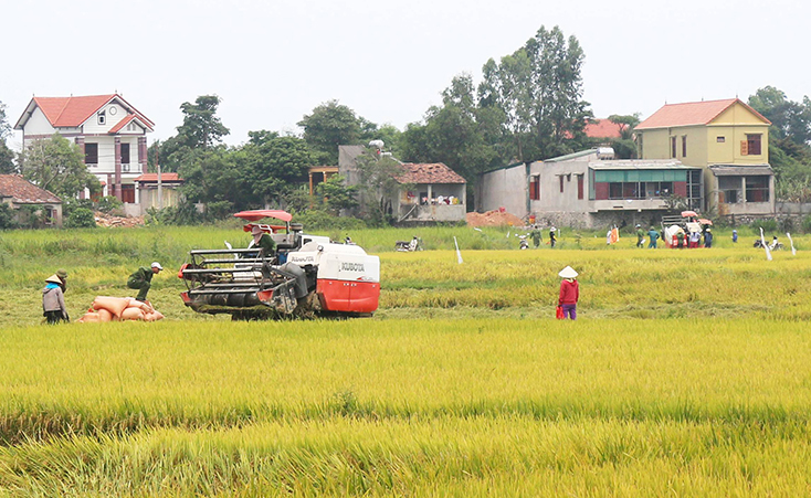 Quảng Bình đẩy mạnh cơ giới hóa trong sản xuất nông nghiệp