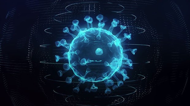 Ảnh minh họa. (Nguồn: technologynetworks.com)