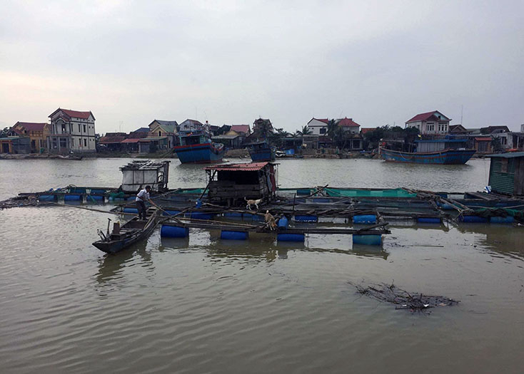 Gia đình ông Nguyễn Trị-một hộ nuôi cá lồng ở thôn Cồn Sẻ, xã Quảng Lộc thiệt hại hơn 1 tỷ đồng do mưa lũ gây ra.