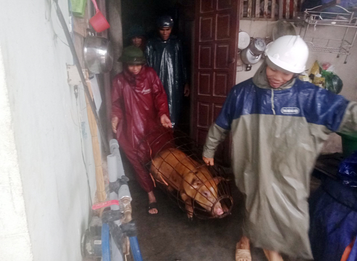  Huyện Bố Trạch di dời người dân và tài sản tránh trú bão đến các nơi an toàn.
