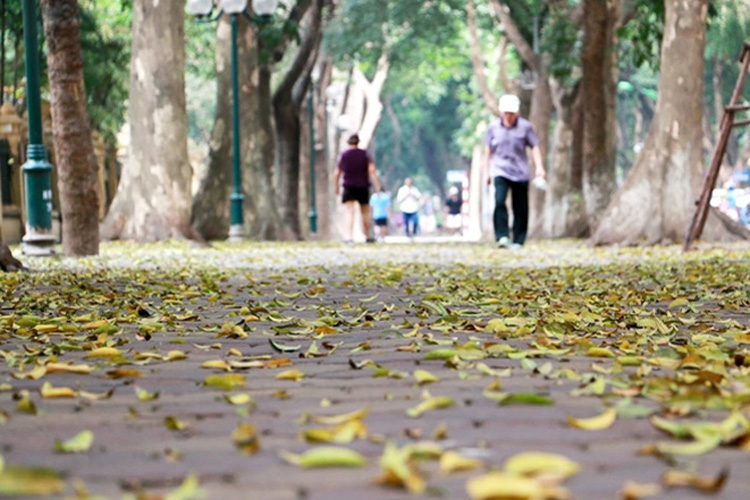  Hà Nội trưa chiều giảm mây, trời nắng.