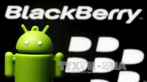  Biểu tượng của hãng BlackBerry. Ảnh: Voice of America/TTXVN
