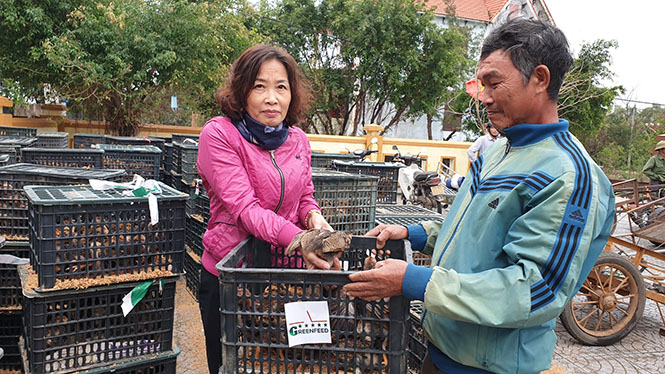  Đại diện Hội nông dân tỉnh trao gà giống cho người dân xã Hồng Thủy (Lệ Thủy).