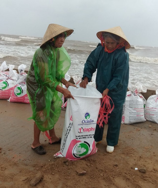   Nhiều người tuổi đã cao nhưng cũng có mặt gia cố kè sạt lở.