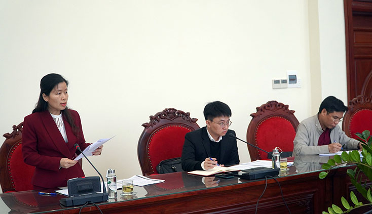 Các đại biểu phát biểu tại buổi làm việc
