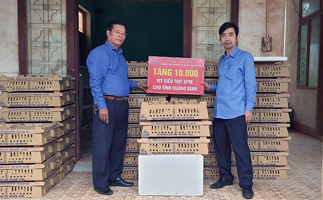 Chi cục Chăn nuôi và Thú y hỗ trợ vịt giống cho người dân vùng lũ Quảng Ninh và Lệ Thủy.