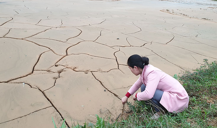 Người dân có diện tích ruộng bị bùn đất vùi lấp sâu ở xã Hưng Trạch (Bố Trạch) không thể sản xuất vụ đông-xuân đúng lịch thời vụ.