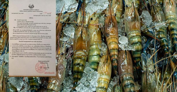 (Nguồn: laotiantimes.com)