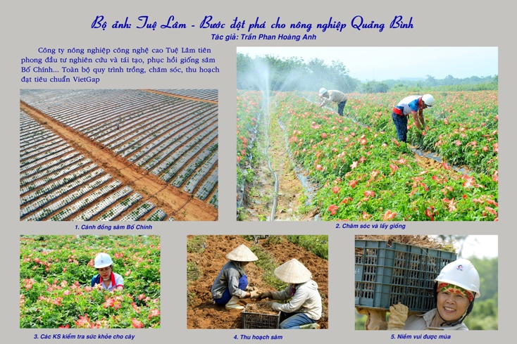 Tác phẩm đạt giải nhì  