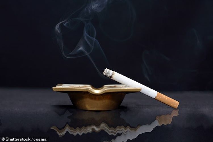  Hút 1 điếu thuốc mỗi ngày cũng có thể gây nghiện nicotine. Ảnh: Shutterstock