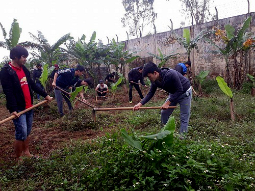  Các học viên tích cực tham gia lao động trị liệu, thực hiện tốt quy chế tại Cơ sở cai nghiện ma túy tỉnh