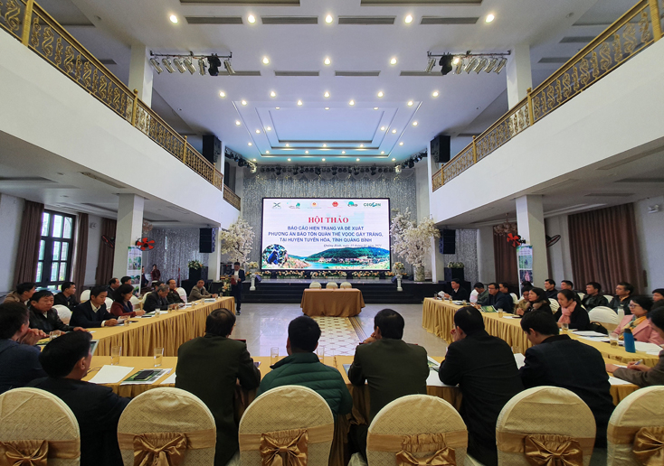 Các đại biểu đang dự hội thảo