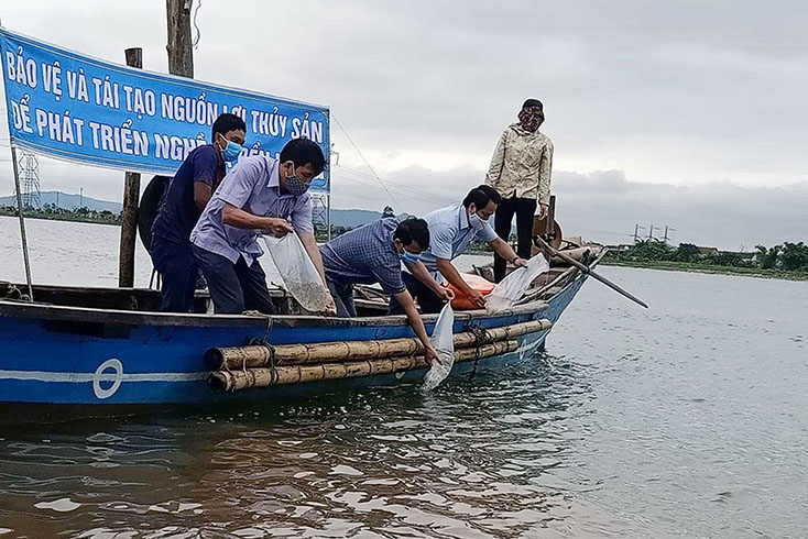 UBND thị xã Ba Đồn thả tôm, cá giống tái tạo nguồn lợi thủy sản.