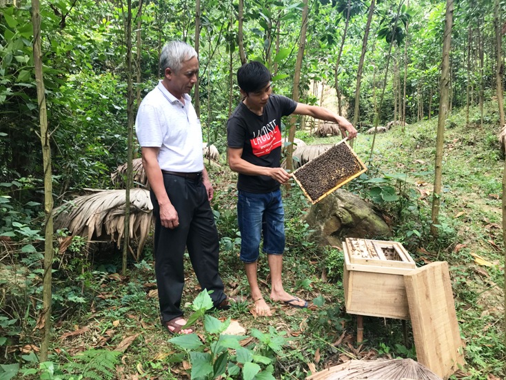 Nuôi ong lấy mật là một trong những mô hình “Dân vận khéo” đang phát huy hiệu quả trên lĩnh vực kinh tế của huyện Tuyên Hóa.