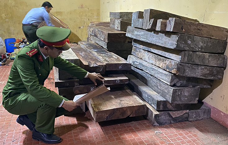 Lực lượng công an kiểm tra, lập biên bản tạm giữ toàn bộ số gỗ không rõ nguồn gốc xuất xứ.