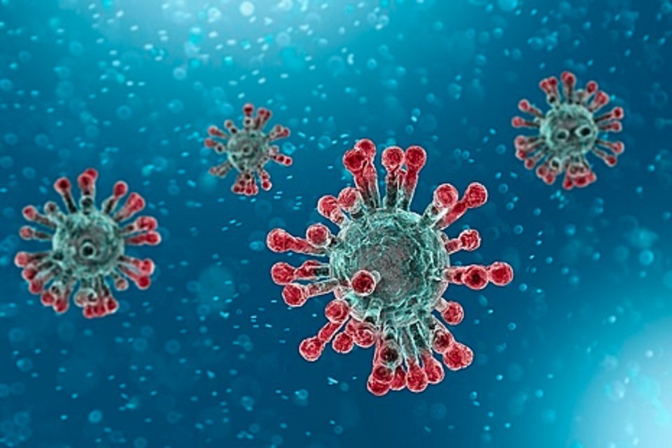  Ảnh minh họa virus SARS-CoV-2. Ảnh: Gov.uk