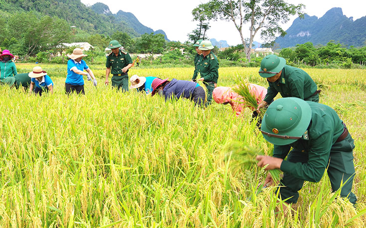Giúp dân thực hiện và duy trì mô hình lúa nước vùng cao.