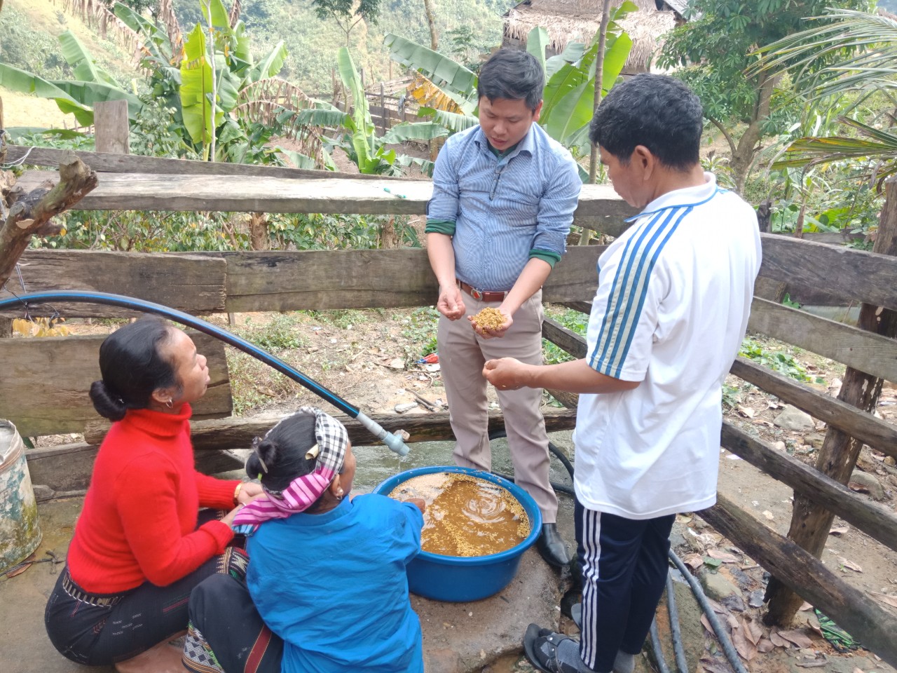  Ông Phạm Văn Bắc, Phó Chủ tịch UBND xã Trọng Hóa hướng dẫn bà con đồng bào DTTS ngâm, ủ giống để gieo sạ.