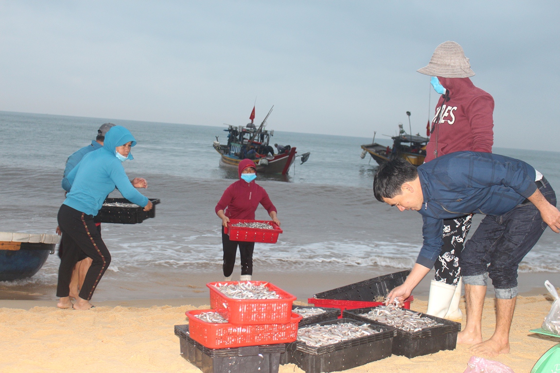 Nhộn nhịp kẻ bán, người mua.
