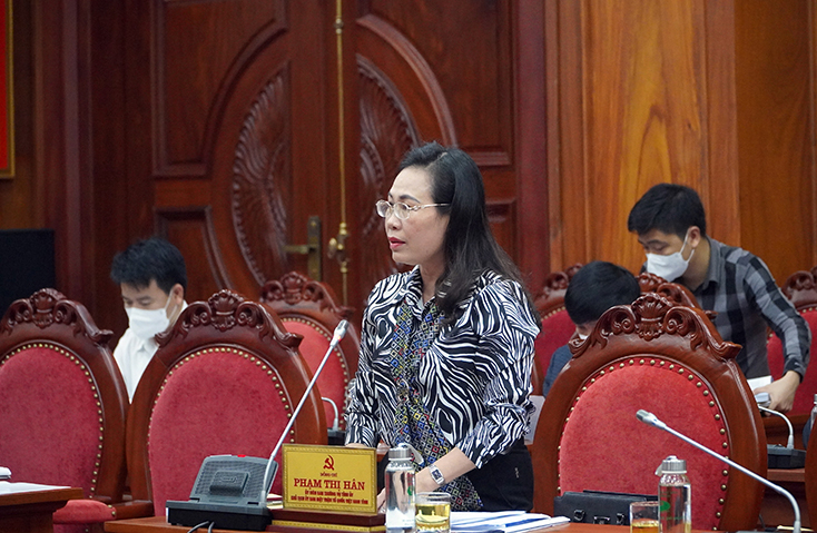 Các đại biểu phát biểu tại hội nghị.