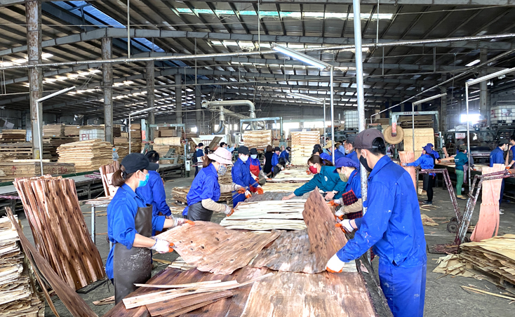 Không khí sản xuất đầu năm của công nhân Nhà máy Gỗ ván ép Quảng Phát.
