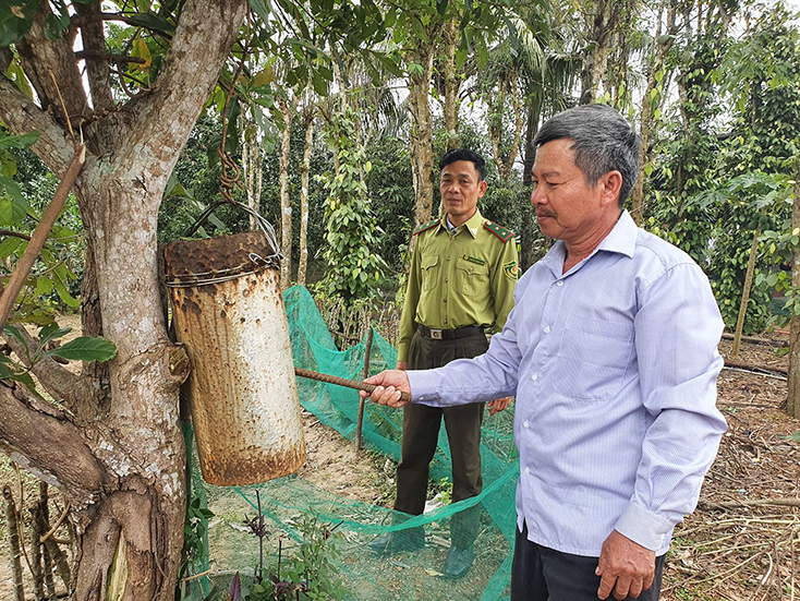 Chiếc kẻng này đã giúp xã Thái Thủy huy động nhanh chóng lực lượng, phương tiện để chữa cháy rừng.