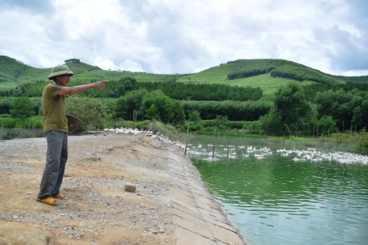 Trang trại của gia đình ông Nguyễn Tám đã trù phú, xanh tươi. 