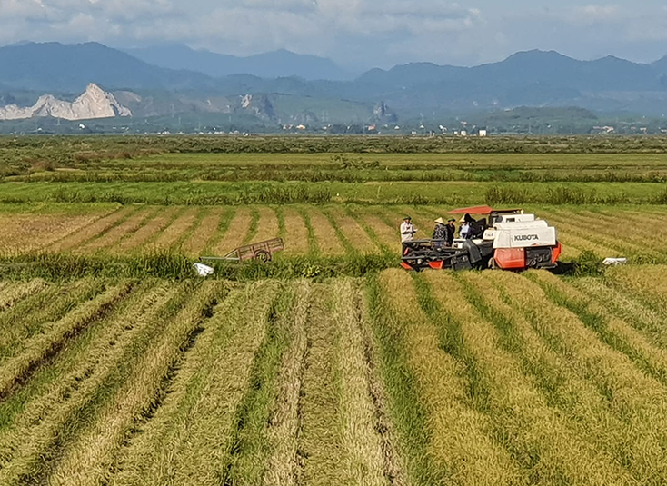 Nhiều HTX đã thực hiện tốt việc dồn điền đổi thửa, áp dụng cơ giới hóa vào sản xuất.