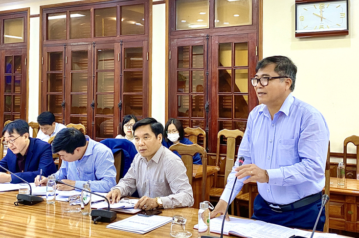 Đồng chí Phó Chủ tịch Thường trực UBND tỉnh Đoàn Ngọc Lâm phát biểu tại buổi làm việc.