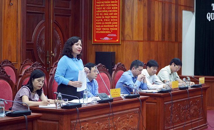 Các đại biểu thảo luận.