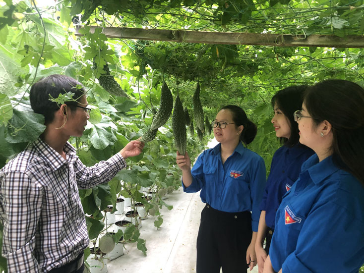 Chuyển giao kỹ thuật cho thanh niên và hỗ trợ khởi nghiệp.