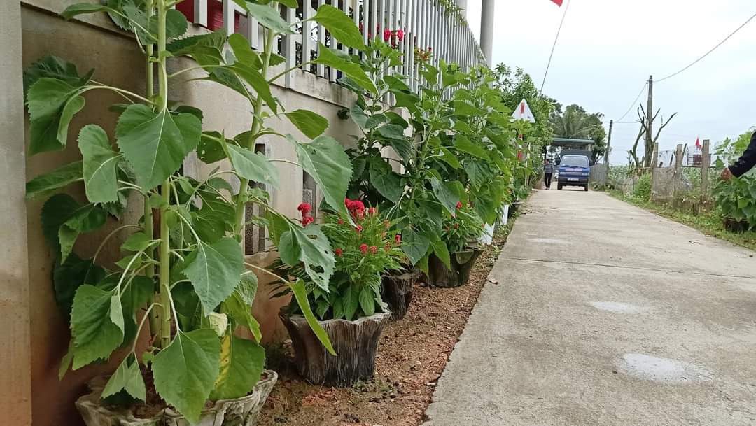 Nhiều con đường hoa đang được hình thành và khoe sắc trên địa bàn tỉnh nhờ sự chung sức của các cấp hội phụ nữ. 