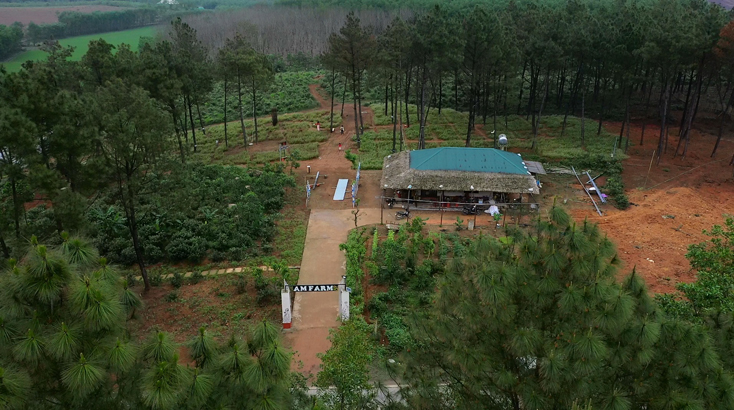  An Mã farm là khu du lịch được kết hợp hài hòa giữa thông và các loại hoa 