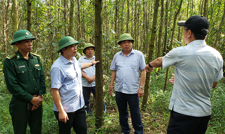 Đồng chí Phó Chủ tịch Thường trực UBND tỉnh Đoàn Ngọc Lâm kiểm tra tình hình giải phóng mặt bằng khu tái định cư tại xã Dân Hóa (Tuyên Hóa).